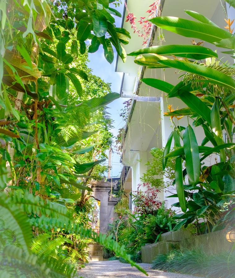 Semujan Bungalow Ουμπούντ Εξωτερικό φωτογραφία
